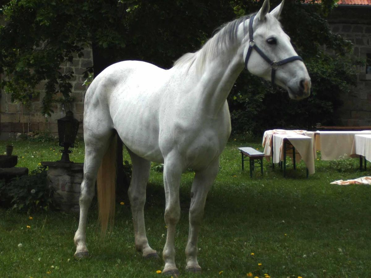 Appartamento Hofgut Schackau Hofbieber Esterno foto